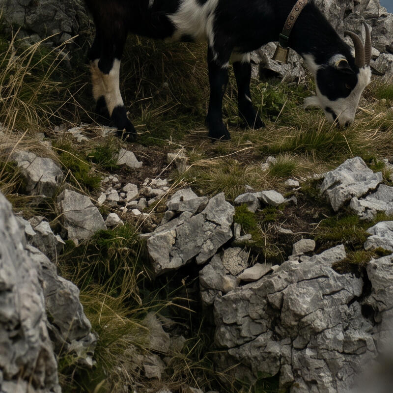 Paisaje y Naturaleza