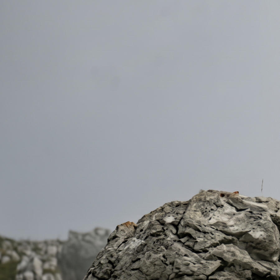 Fotografía Fija